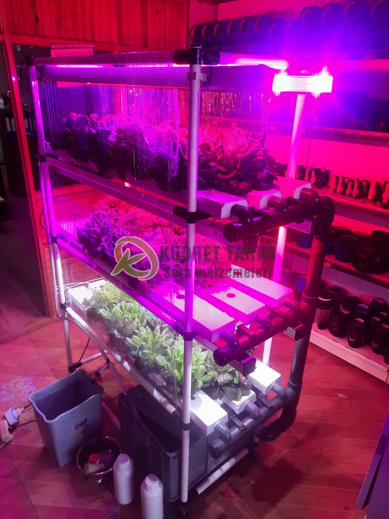 Hidroponik Hobi Üretim Seti