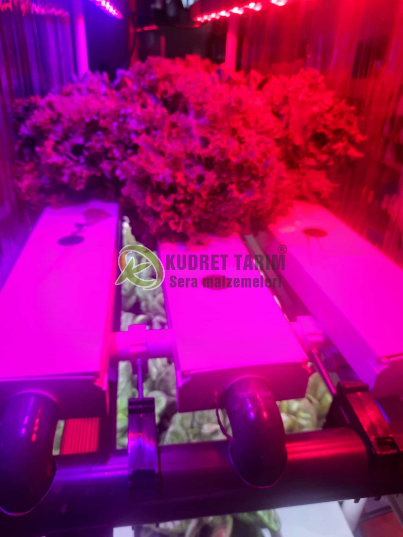 Hidroponik Hobi Üretim Seti