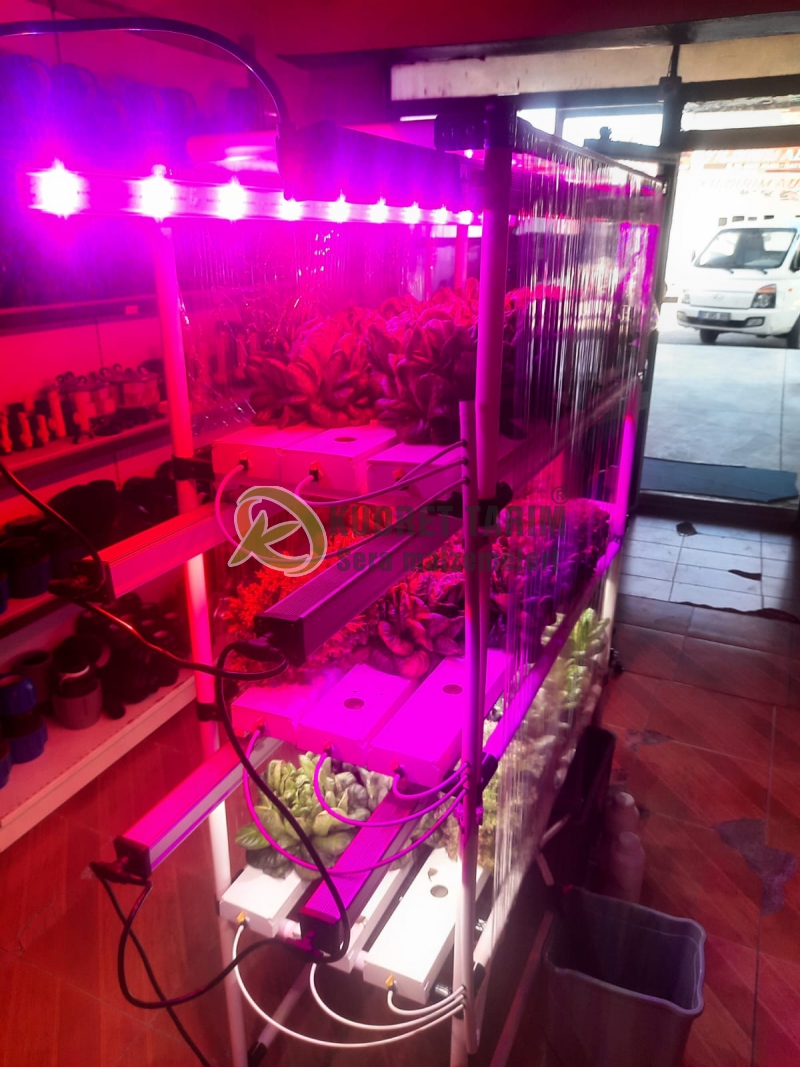 Hidroponik Hobi Üretim Seti