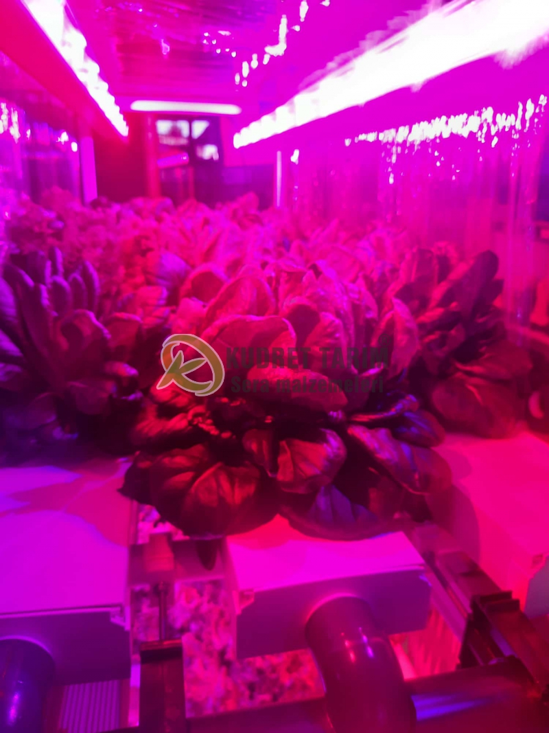 Hidroponik Hobi Üretim Seti